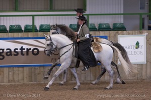 Lusitano Breed Society of Great Britain Show - Hartpury College - 27th June 2009